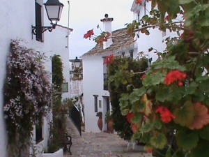 Village inside the castle walls